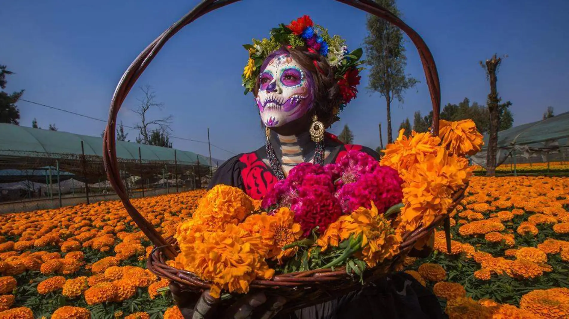 Está por llegar la fiesta cumbre del Día de Muertos, la cual tiene lugar el 2 de noviembre y consiste en el día de los Fieles Difuntos